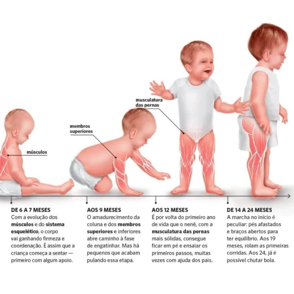 Etapas do Desenvolvimento do Bebê Mês a Mês